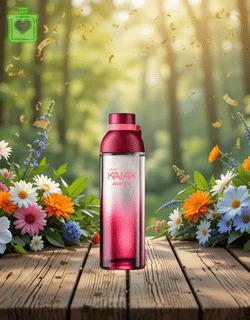 Kaiak Aventura – Natura